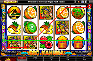 Big Kahuna free flash slots machine